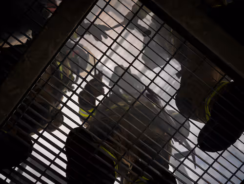 View from below of firefighters testing C-THRU at Eglin Air Force Base